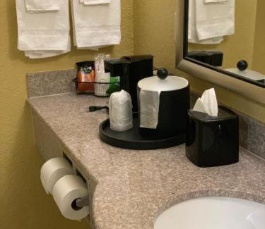 Tuscaloosa Hotel | Ambassador Inn & Suites Tuscaloosa University I-20