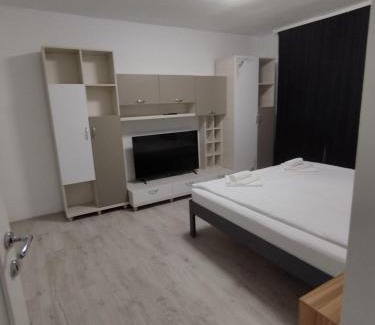 Ocna Mures Apartamento | AME Home Apartament
