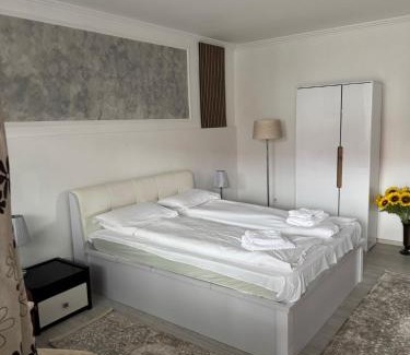 Ocna Mures Apartamento | AME Home