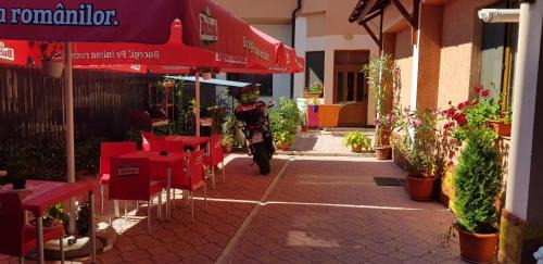 Fagaras Casa | Amelia House