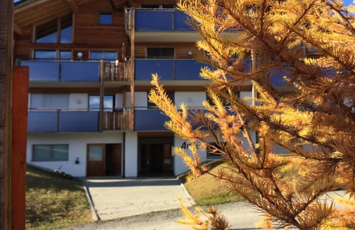Riederalp Apartamento | Amici 1. OG West by Interhome