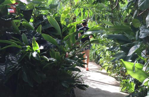 Willemstad Complejo | Amigunan Tropical Mini Resort