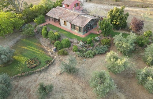 Sorano Casa | Among olive trees and silence: farmhouse with pool and olive grove in the Etruscan Maremma