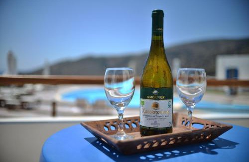 Katapola Apartamento | Amorgion Village