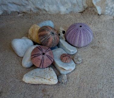 Neo Itilo Apartamento | Amphitrite's House