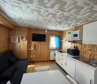 Passo del Tonale Apartamento | Ampio e caldo monolocale panoramico