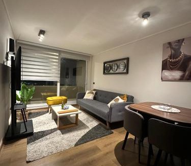 Concepcion Apartamento | Amplio departamento en zona céntrica de Concepción