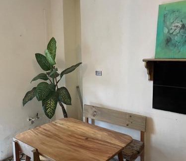 Zona 1 Apartamento | Amplio primer nivel centro histórico el círculo