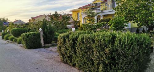 Gradina Casa | Anđela Home - Krka waterfalls