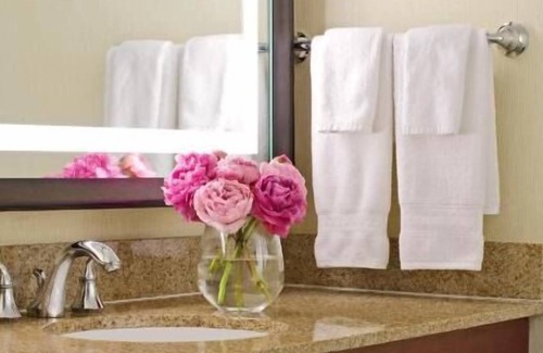 Alexandria West Casa | An Adventure Awaits! 4 Classy Units, Onsite Restaurant, Pool, Near Old Town