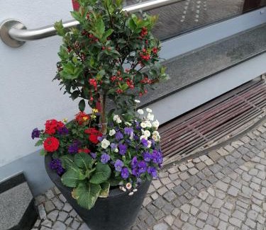 Rubeland Apartamento | An der Bode