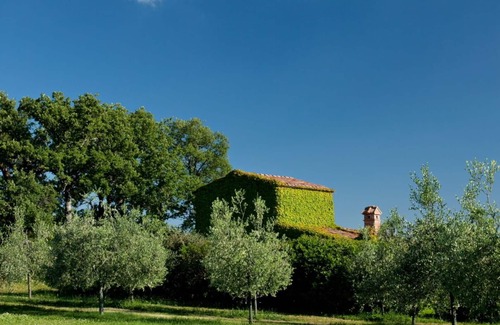 Montegrossi Villa | Una pequeña villa encantadora, ideal para dos personas, con una vista inigualable.