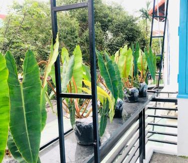 Cam Pho Hotel | An's Family Homestay Hoi An - 5mins walk to Hoi An Ancient Town