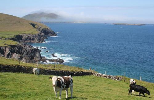 Dingle Casa | An Searrach Dingle by Trident Holiday Homes