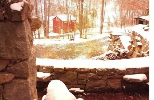 Barnardsville Apartamento | An Understory Sanctuary