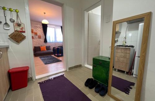 Paracin Apartamento | Ana