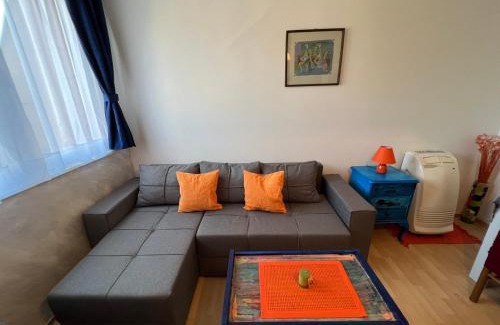 Paracin Apartamento | Ana
