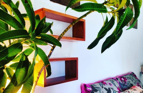 Aracati Casa | Anacardium