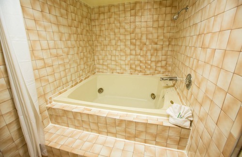 Anaheim Resort Hotel | Anaheim Carriage Inn