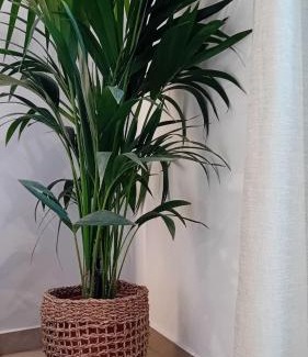 Adamas Apartamento | Anais Milos Suites