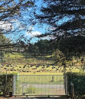 Lidgetton West Apartamento | Anamcara Villa 1, Natal Midlands, Balgowan