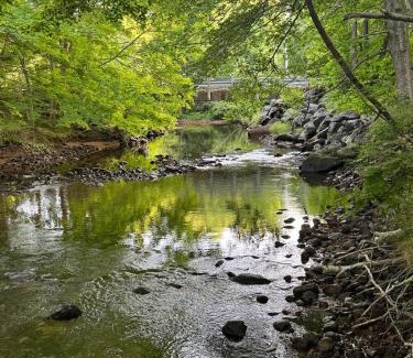 Pleasant Bay Apartamento | Ananda - Enchanted Forest Hideaway