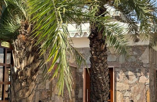 Pushkar Hotel | Ananda Resort
