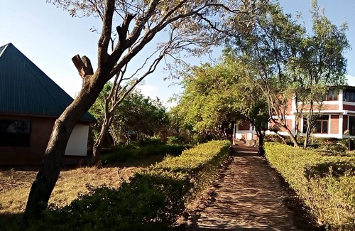 Karatu Cabina | Ancestors Lodge. Walking tour free. Camping site available. Private bathrooms...