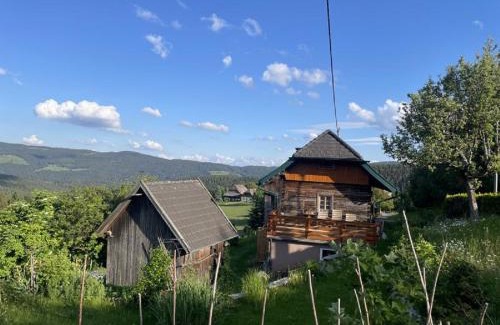 Weitensfeld Apartamento | Andi's Berghütte