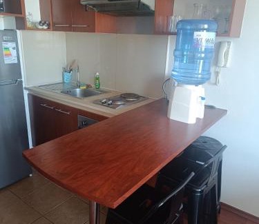 Downtown Santiago Apartamento | Andina Suite 6