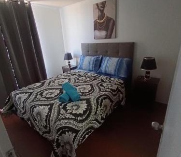Downtown Santiago Apartamento | Andina Suite 6