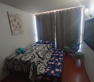 Downtown Santiago Apartamento | Andina Suite 6