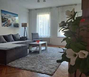 Grbavica Apartamento | Andrea Apartman