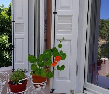 Andros Town Apartamento | Andros Lighthouse Apartments
