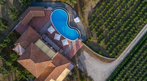 Agia Marina Villa | Aneli Luxury Villas-Villa Anastasia