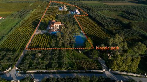 Agia Marina Villa | Aneli Luxury Villas-Villa Anastasia