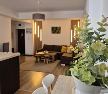 Sibiu Apartamento | Angel apartament