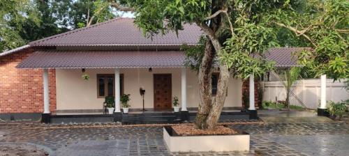 Punnapara Casa | Angel Homestay Paravoor