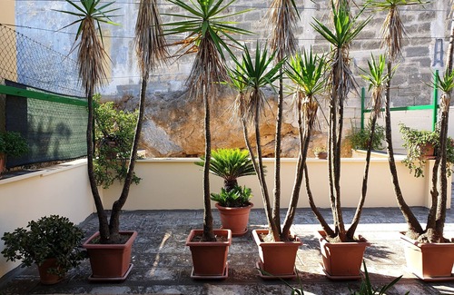 Oria Casa | Casa de angelo con terraza