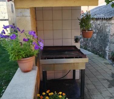 Povljana Apartamento | Ani