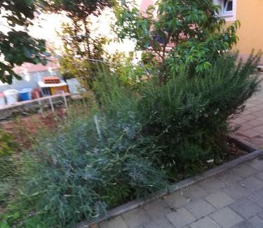 Povljana Apartamento | Ani