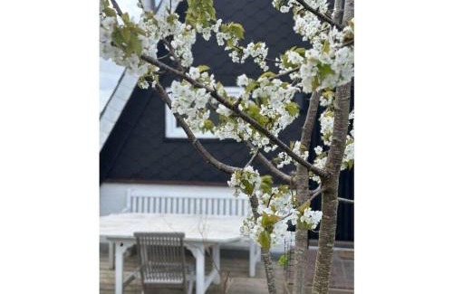 Brodersby Casa | Anna Schlei Comfortable holiday residence