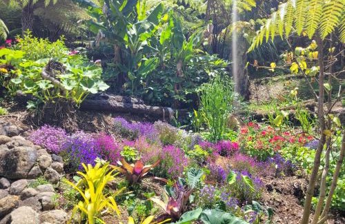 Whitianga Casa | Annabells B&B