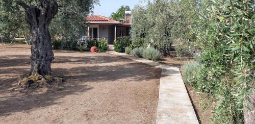 Megalos Prinos Casa | Annashousethassos