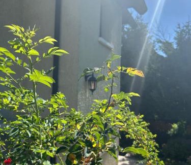 Cran-Gevrier Apartamento | ANNECY, bel appartement très cosy avec 2 chambres et une grande terrasse