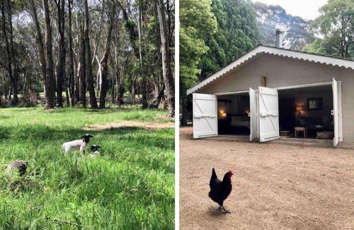Fitzroy Falls Casa | Annies Barn, Fitzroy Falls