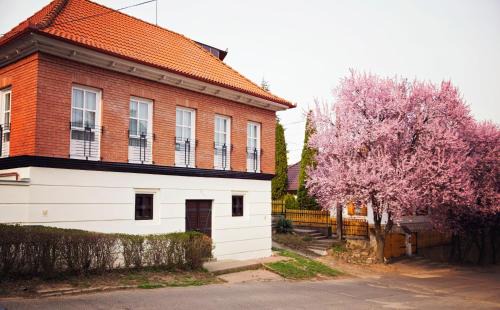 Tokaj Apartamento | Antalóczy Winery&Apartments