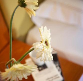 Elia Nikitis Complejo | Anthemus Sea Beach Hotel and Spa