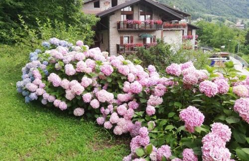 Riva del Garda Apartamento | Antica Casa Ortensia
