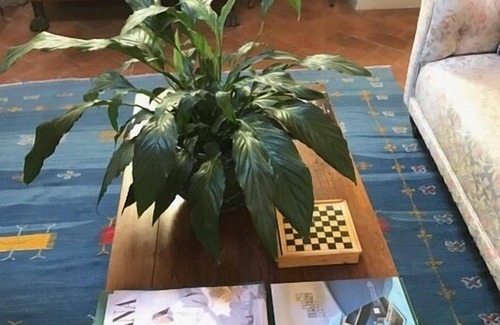 San Lorenzo Cama Y Desayuno | Antica Dimora Johlea - Antiche Dimore Fiorentine
